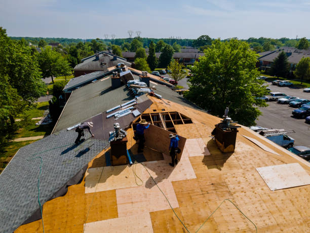 Trusted Flat Roof Repair service in Ivanhoe, VA - Brentwood Metal Roofing